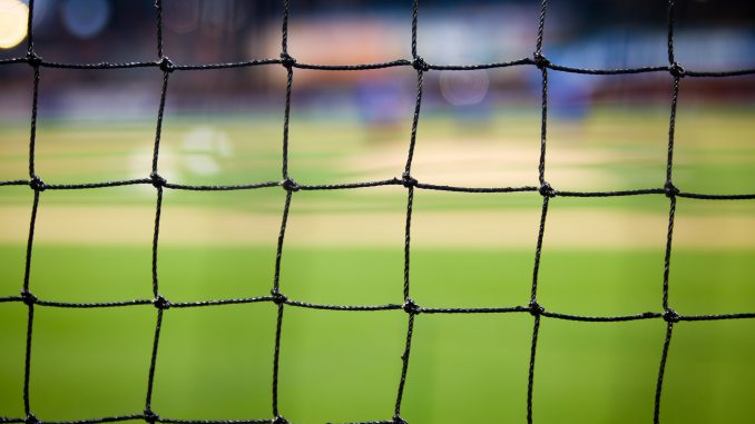 goal net